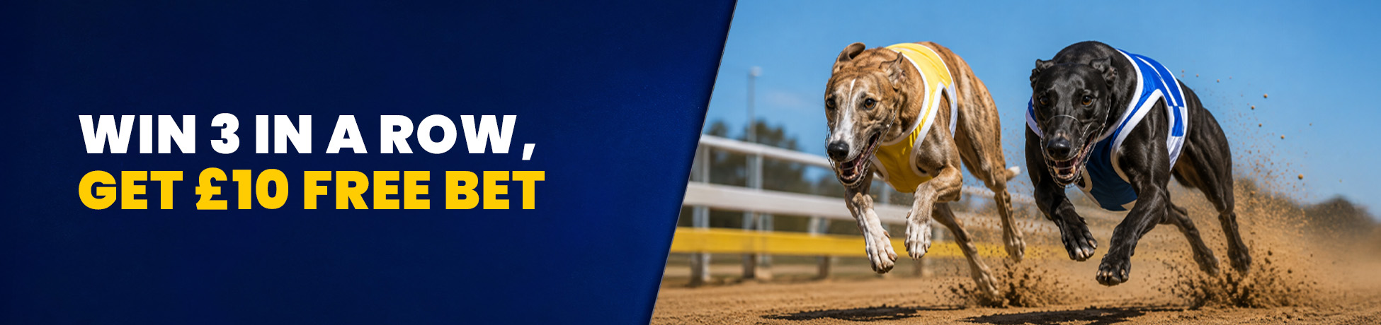 9171-greyhound---main-banner-2-17895604802409.jpg